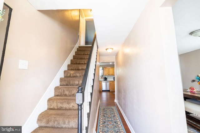 stairway featuring wood-type flooring