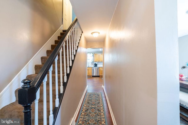 stairs with hardwood / wood-style flooring