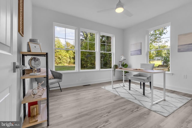 office space featuring light hardwood / wood-style floors and a healthy amount of sunlight