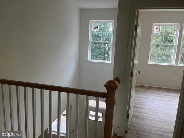 stairs featuring hardwood / wood-style flooring and plenty of natural light