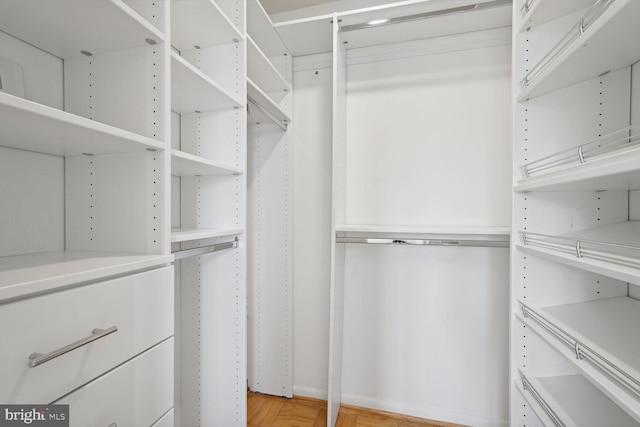 view of spacious closet