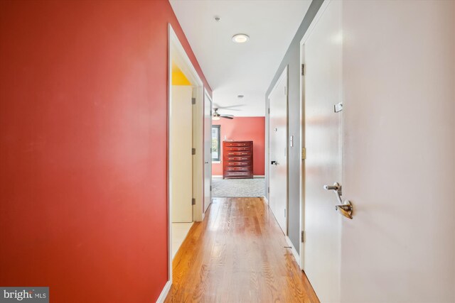 hallway featuring light hardwood / wood-style floors