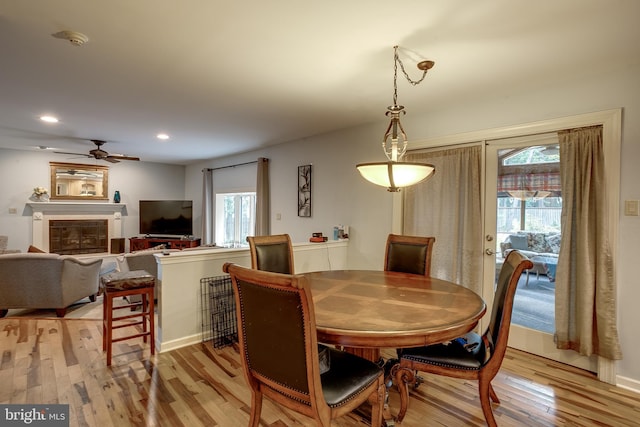 dining area featuring light hardwood / wood-style flooring, a healthy amount of sunlight, and ceiling fan