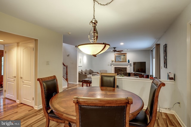 dining area with light wood-type flooring and ceiling fan