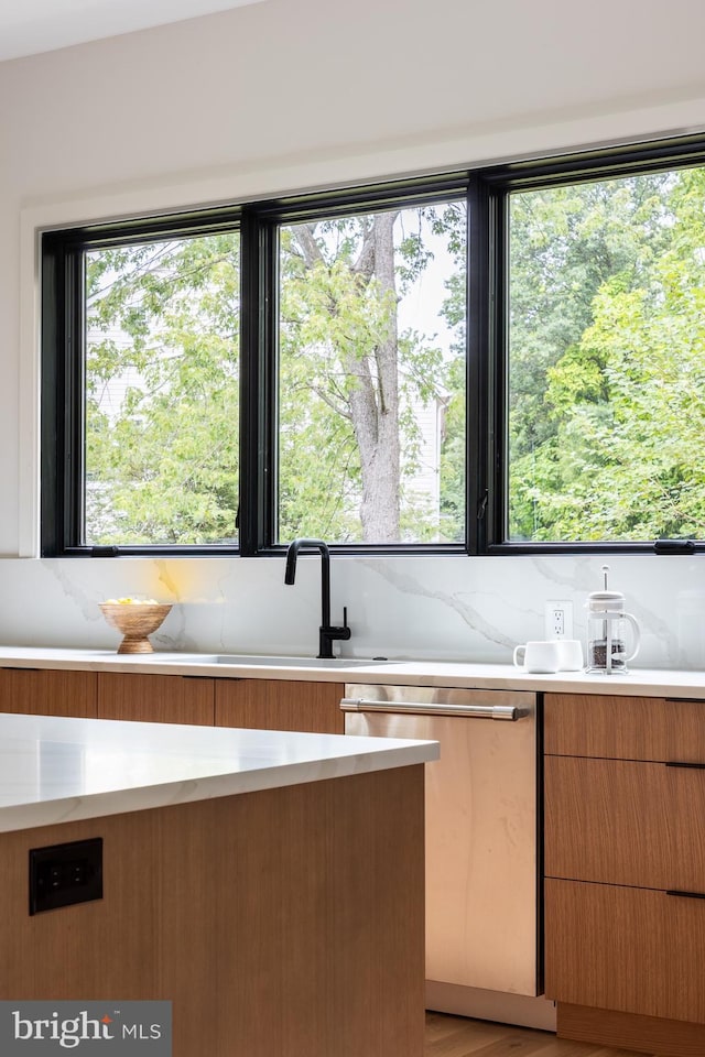 kitchen with stainless steel dishwasher and sink