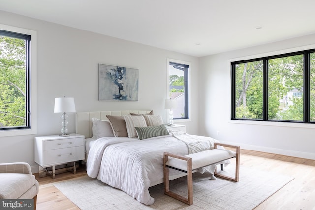 bedroom featuring light wood-type flooring and multiple windows