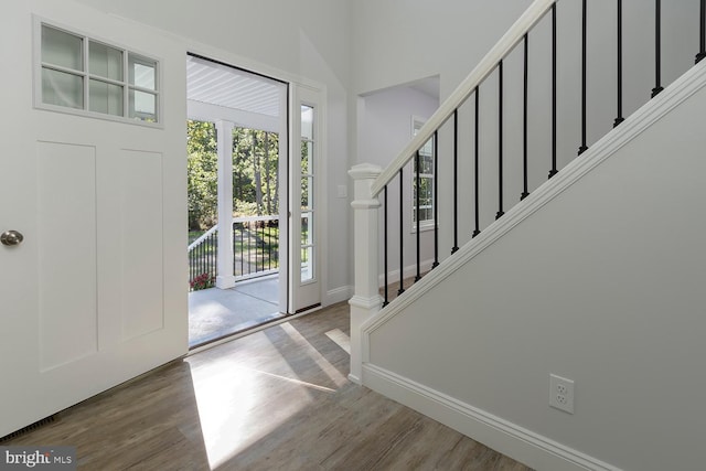 foyer featuring wood-type flooring