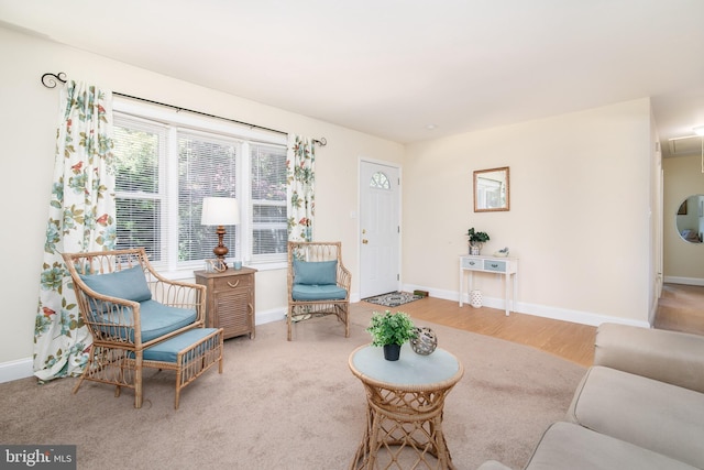 living room featuring wood-type flooring