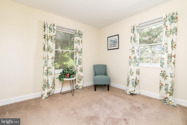 living area with light carpet