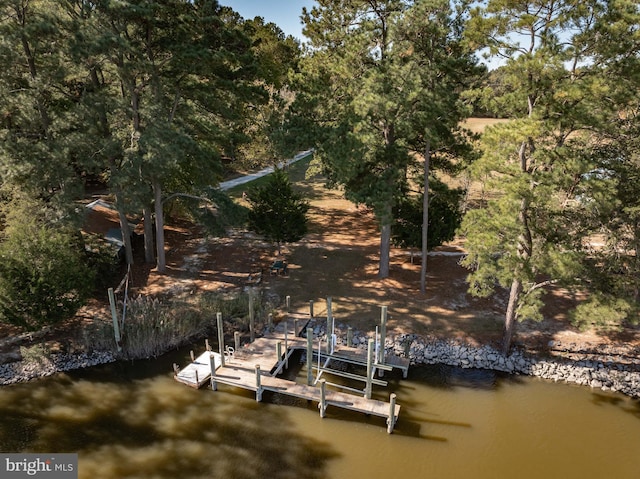 dock area featuring a water view