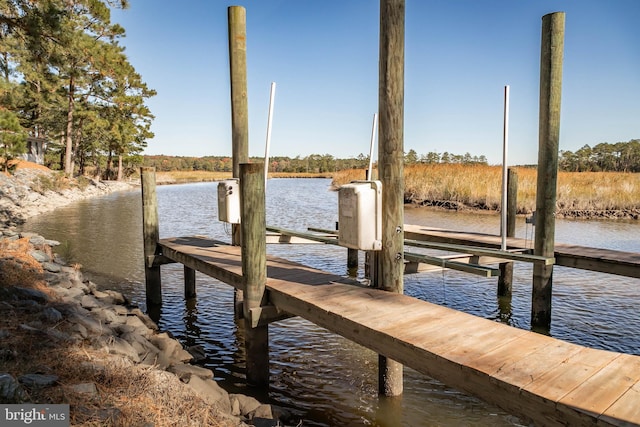 dock area with a water view