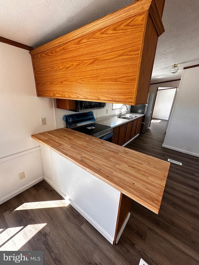 kitchen with range, dark hardwood / wood-style floors, sink, and a textured ceiling