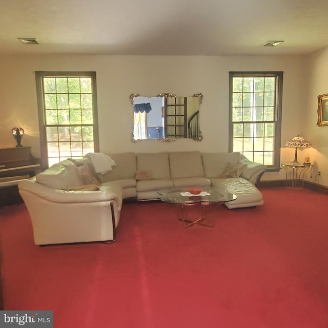 carpeted living room with plenty of natural light