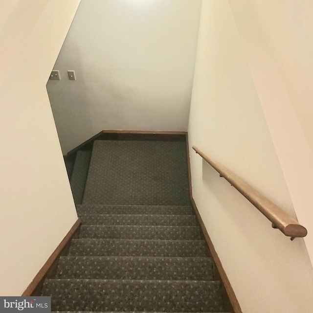 stairs with carpet floors