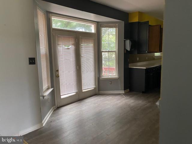 entryway featuring wood-type flooring