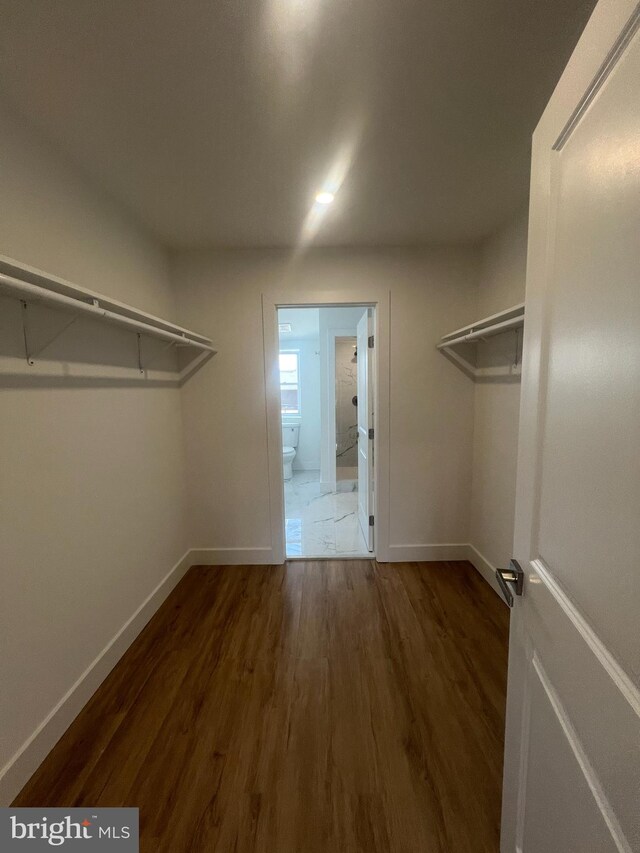 spacious closet with dark hardwood / wood-style floors