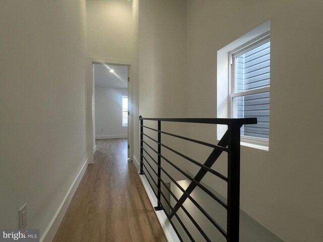 hallway featuring plenty of natural light and hardwood / wood-style floors