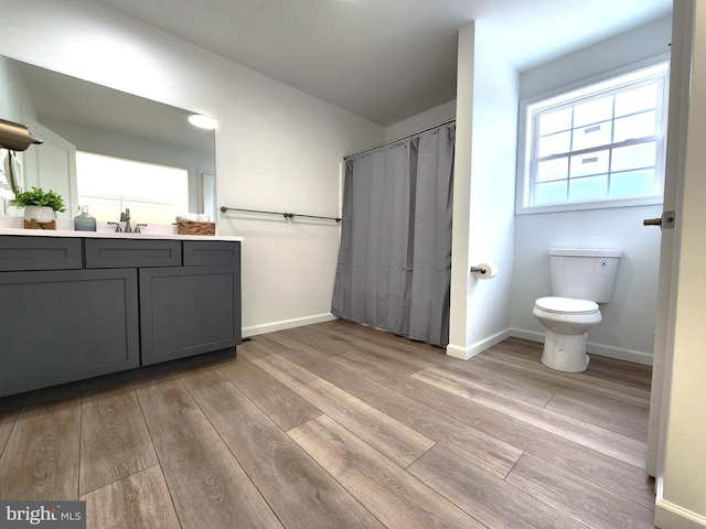 bathroom with wood-type flooring, vanity, and toilet