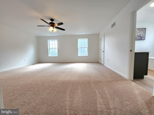 spacious closet featuring carpet flooring