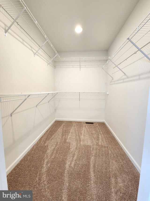 spare room with carpet