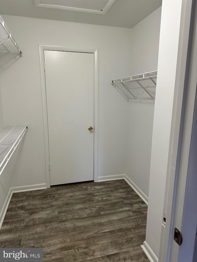 spacious closet with dark hardwood / wood-style flooring