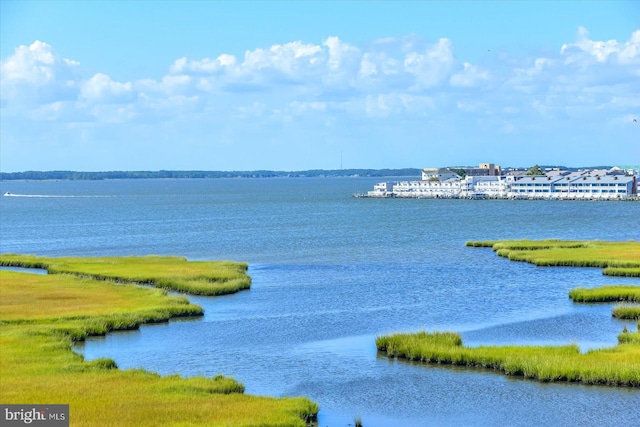 property view of water