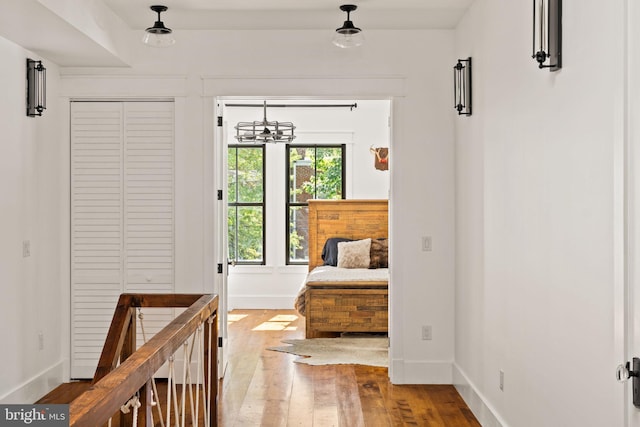 bedroom with a closet and wood-type flooring