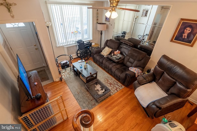 living room featuring ceiling fan and light hardwood / wood-style floors