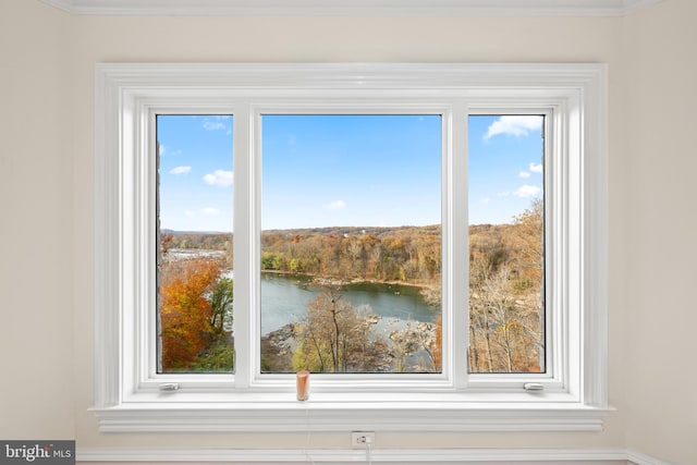 room details featuring a water view and crown molding