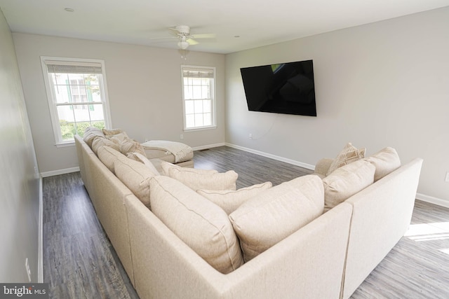 living room featuring ceiling fan and hardwood / wood-style flooring