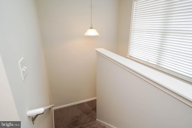 stairway with carpet flooring