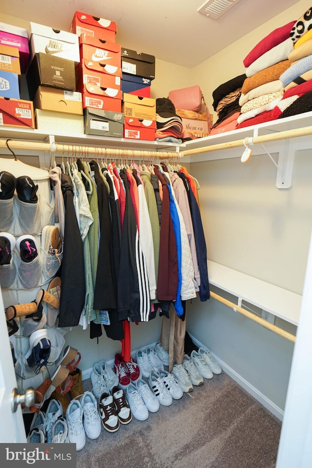 spacious closet with carpet floors