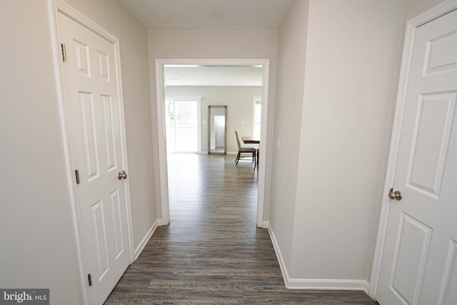 hallway with dark hardwood / wood-style flooring