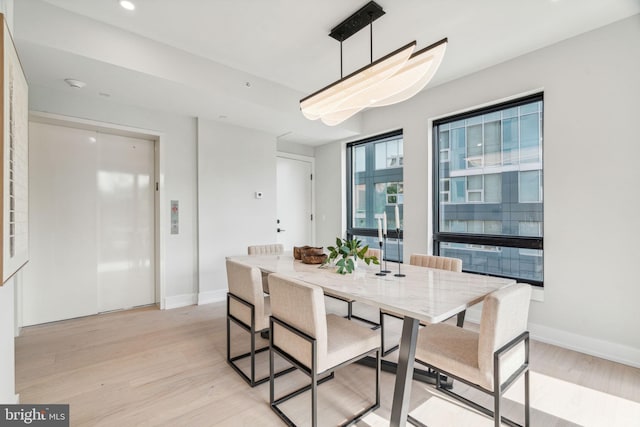 dining room with light hardwood / wood-style flooring