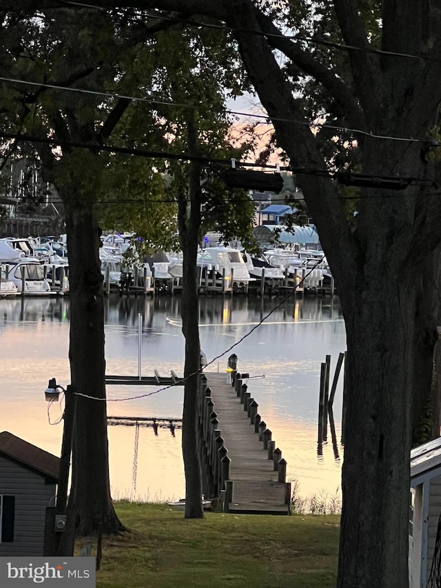 property view of water featuring a dock