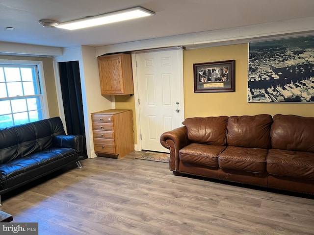 living room featuring light hardwood / wood-style flooring