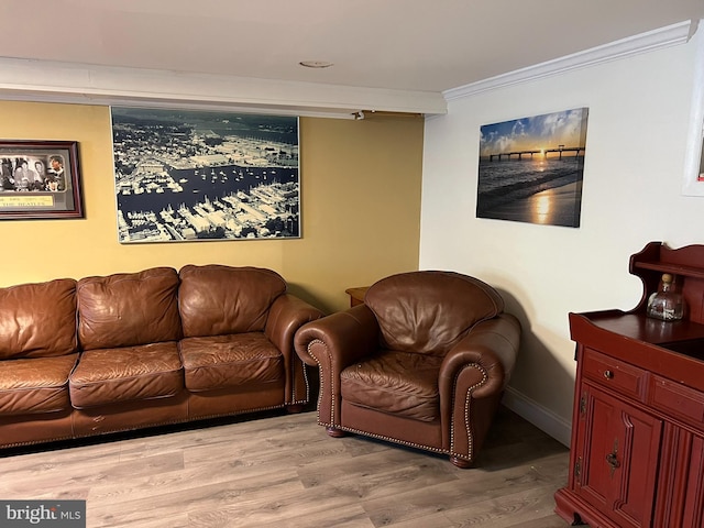 living room with light wood-type flooring and crown molding