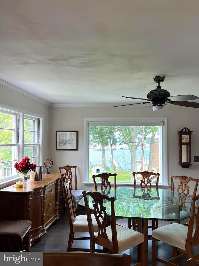 dining area featuring a water view, a wealth of natural light, crown molding, and ceiling fan