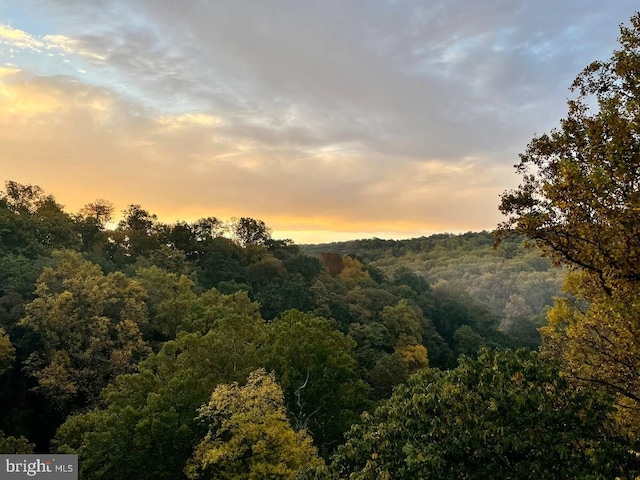 view of nature at dusk