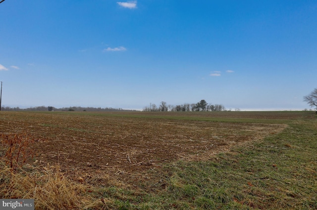 view of local wilderness featuring a rural view