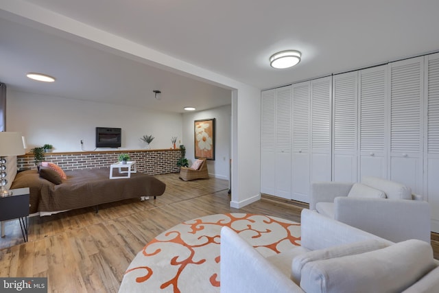 living room with wood-type flooring