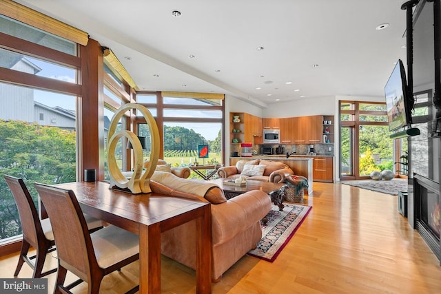 living room with light hardwood / wood-style flooring and a wall of windows