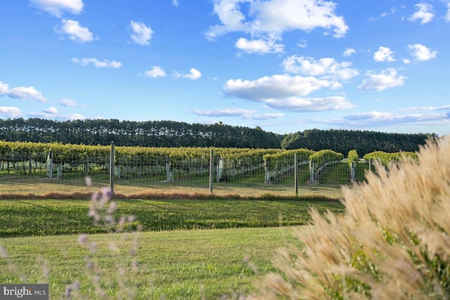 view of yard with a rural view