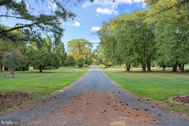 view of street