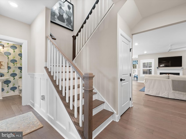 staircase featuring ceiling fan and hardwood / wood-style floors