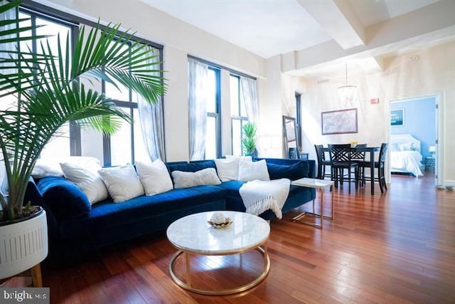 living room featuring dark hardwood / wood-style floors and beam ceiling