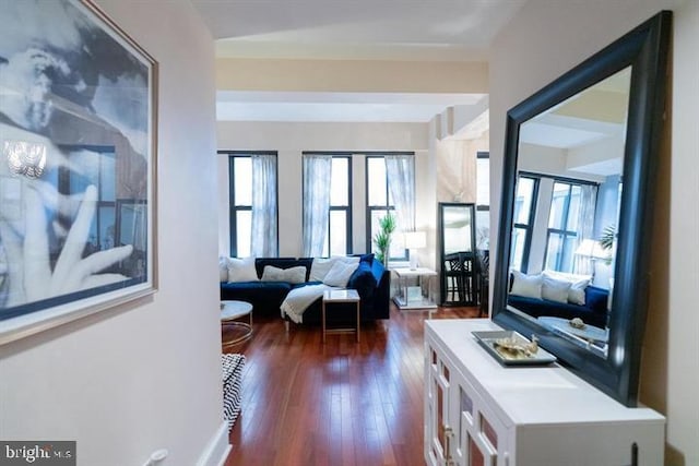 living room featuring dark wood-type flooring