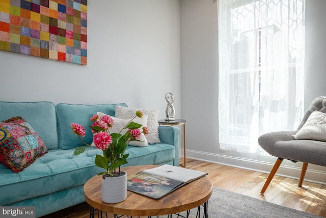 living room featuring hardwood / wood-style floors