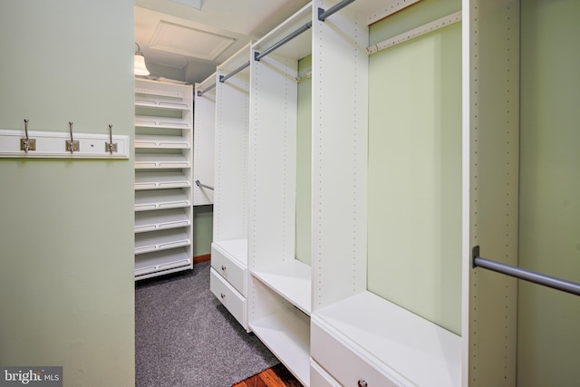 walk in closet featuring dark colored carpet