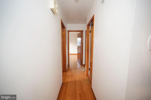 hallway featuring light hardwood / wood-style flooring